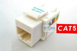 Nhân mạng D-LINK cat5